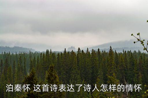 泊秦懷 這首詩(shī)表達(dá)了詩(shī)人怎樣的情懷
