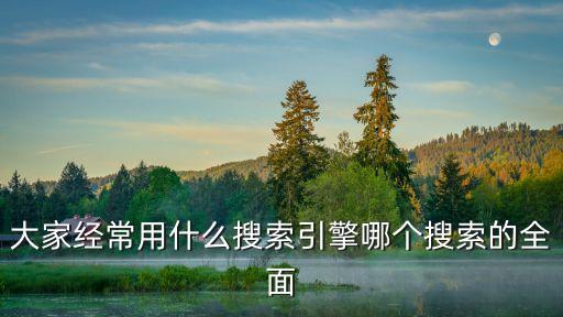常見的搜索引擎，現(xiàn)在都有哪些搜索引擎向強人請教