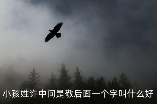 小孩姓許中間是敬后面一個字叫什么好