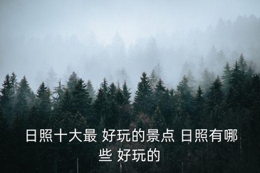 日照好玩嗎,日本旅游住宿有哪幾種形式?