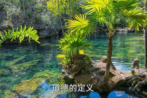 道德的定義