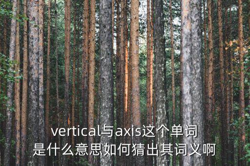 vertical與axis這個單詞是什么意思如何猜出其詞義啊