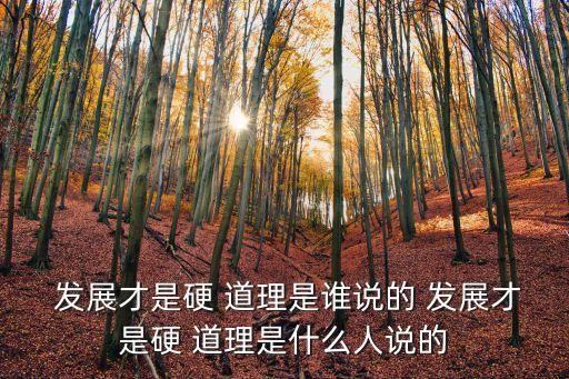  發(fā)展才是硬 道理是誰說的 發(fā)展才是硬 道理是什么人說的