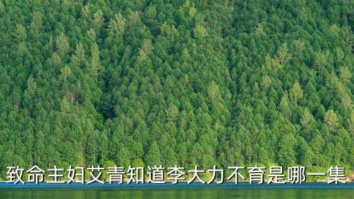 李大力,《致命主婦》第35集:不孕原因揭曉原來是這樣的