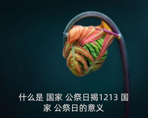 國家公祭日,國家公祭day是紀(jì)念民族大災(zāi)難的紀(jì)念活動(dòng)
