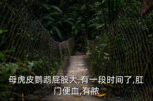 鳥大有屁用,鳥人的意思是什么蠢事(人)
