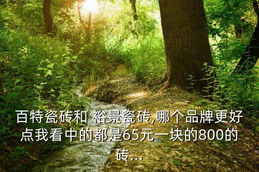 百特瓷磚和 裕景瓷磚,哪個品牌更好點我看中的都是65元一塊的800的磚...