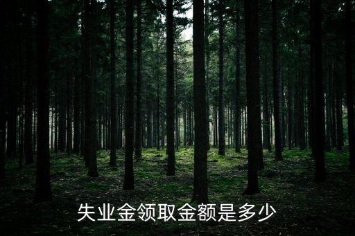 失業保險金標準，勞動失業保險金領取標準