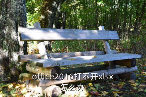 office2016打不開xlsx怎么辦