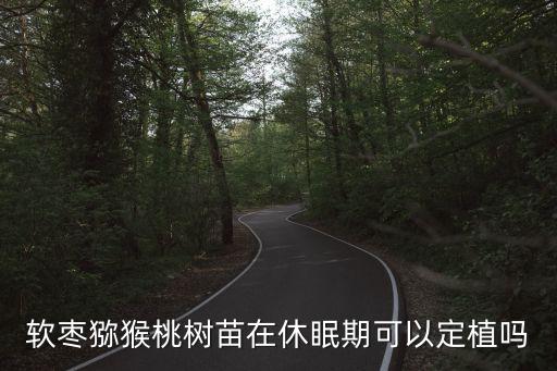 軟棗苗木，軟棗獼猴桃樹苗在休眠期可以定植嗎