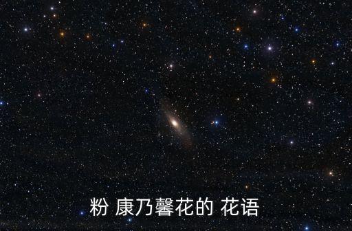 粉 康乃馨花的 花語(yǔ)