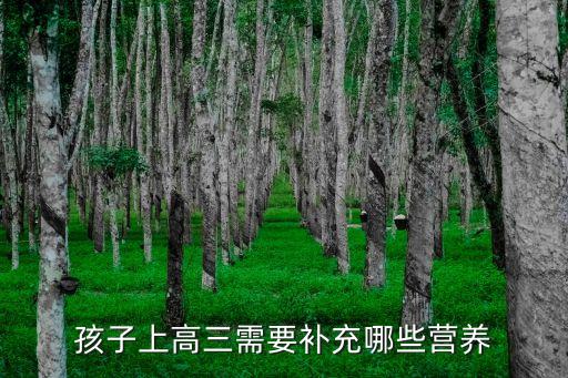 孩子上高三需要補充哪些營養