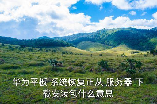 華為平板 系統恢復正從 服務器 下載安裝包什么意思
