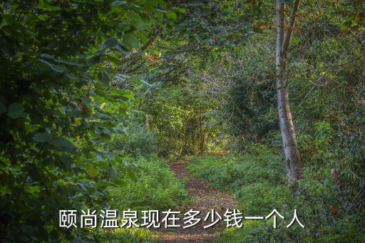 頤尚溫泉現在多少錢一個人
