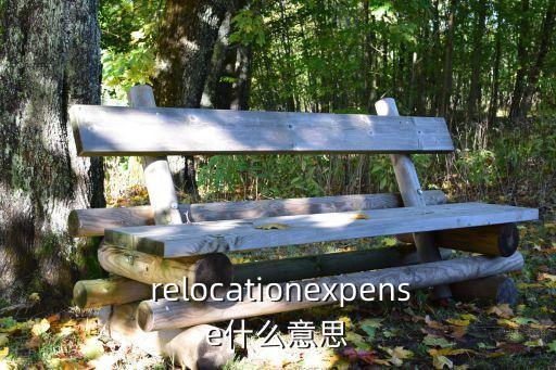  relocationexpense什么意思