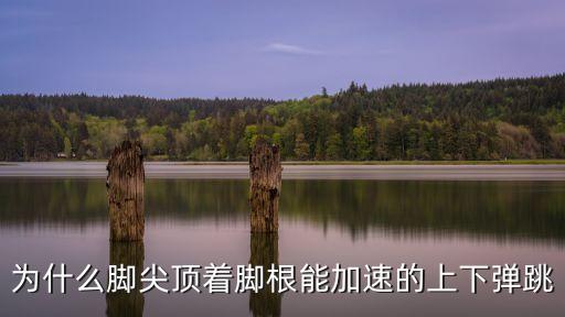為什么腳尖頂著腳根能加速的上下彈跳