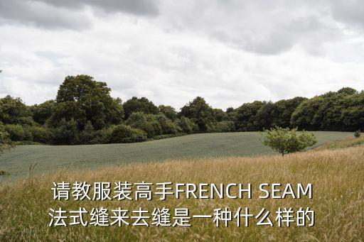 請(qǐng)教服裝高手FRENCH SEAM法式縫來去縫是一種什么樣的
