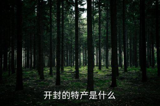 開封的特產(chǎn)是什么
