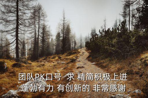 團隊PK口號  求 精簡積極上進 蓬勃有力 有創新的 非常感謝
