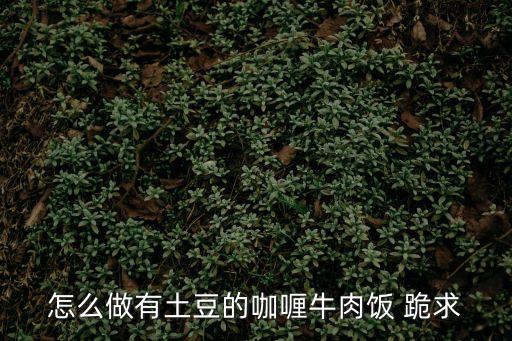 怎么做有土豆的咖喱牛肉飯 跪求
