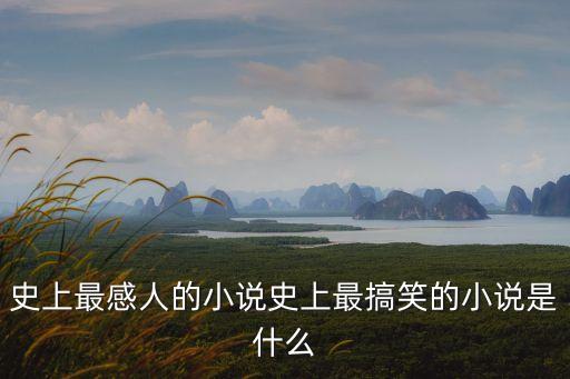 史上最感人的小說史上最搞笑的小說是什么