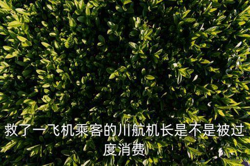 川航機長，救了一飛機乘客的川航機長是不是被過度消費