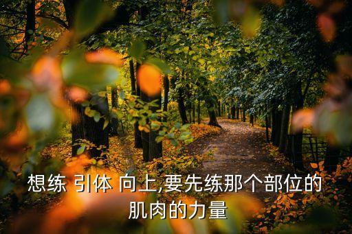 想練 引體 向上,要先練那個部位的 肌肉的力量