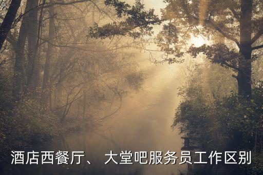 大堂吧,酒店大堂酒吧服務職責有何不同?