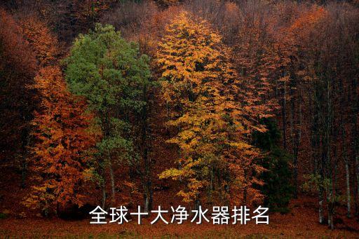 凈水器排行榜，全球十大凈水器排名