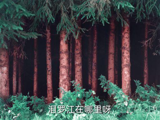 汨羅江在哪,汨羅江由東向西流入湖南平江
