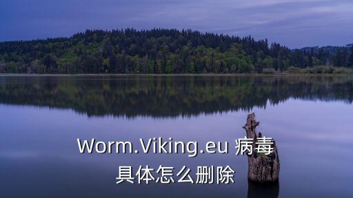 Worm.Viking.eu 病毒具體怎么刪除