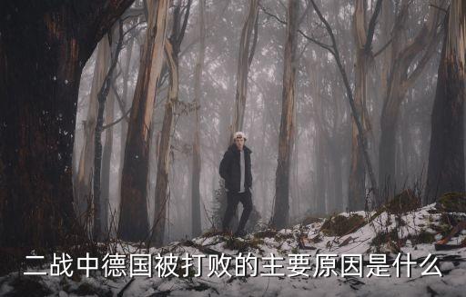 德國戰敗，二戰中德國哪一年戰敗