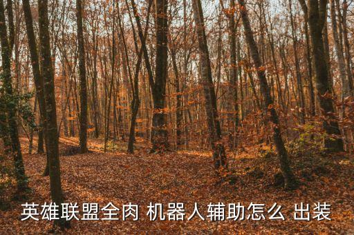 英雄聯盟全肉 機器人輔助怎么 出裝