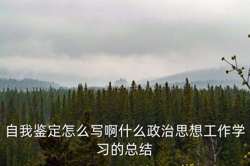 政治思想方面總結，自我鑒定怎么寫啊什么政治思想工作學習的總結