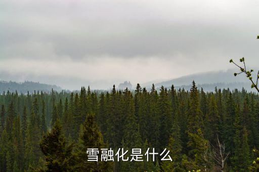 雪融融，雪融化是什么