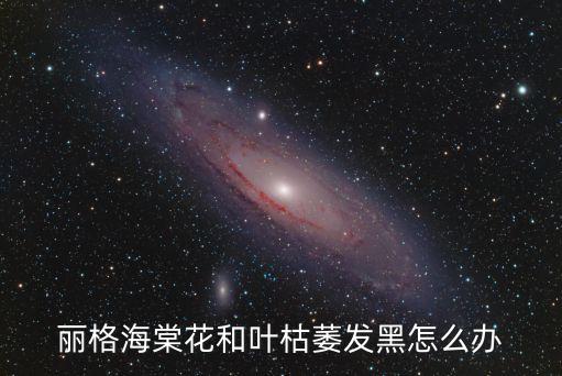 麗格海棠花，麗格海棠花和葉枯萎發(fā)黑怎么辦