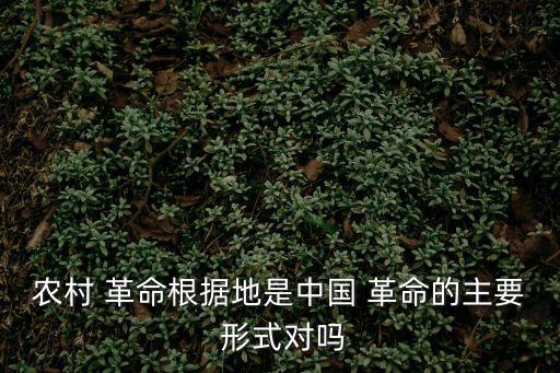 農村 革命根據地是中國 革命的主要 形式對嗎