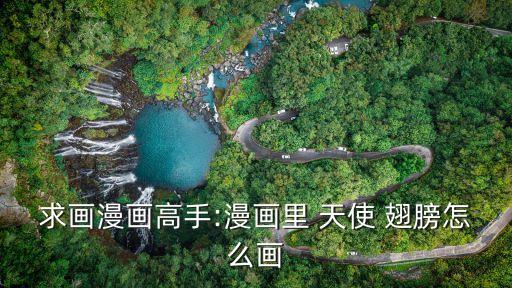 求畫漫畫高手:漫畫里 天使 翅膀怎么畫
