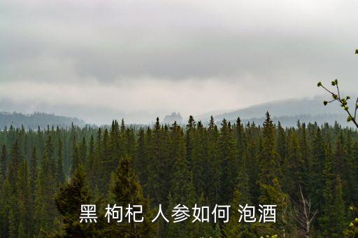 黑 枸杞 人參如何 泡酒