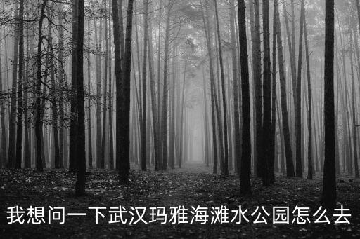 我想問(wèn)一下武漢瑪雅海灘水公園怎么去