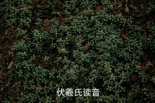 伏羲氏,伏羲正姓之路