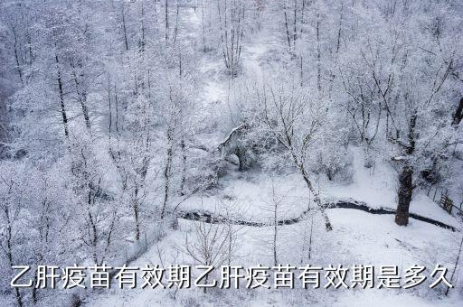 乙肝疫苗有效期乙肝疫苗有效期是多久