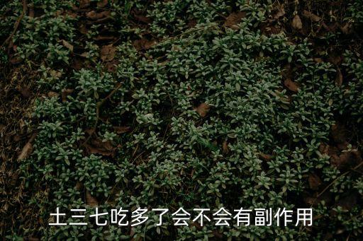 土三七吃多了會不會有副作用