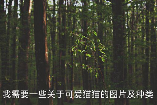 我需要一些關于可愛貓貓的圖片及種類