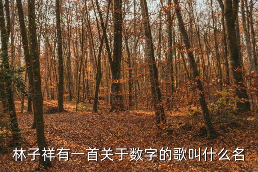 林子祥歌曲，林子祥有一首關于數字的歌叫什么名