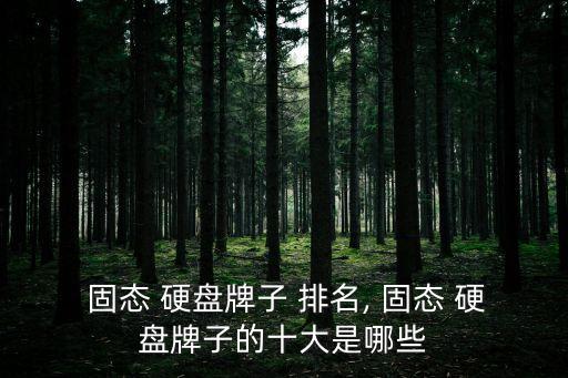  固態 硬盤牌子 排名, 固態 硬盤牌子的十大是哪些