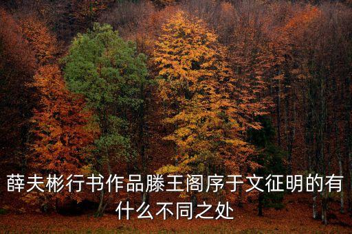 文征明行書滕王閣序，薛夫彬行書作品滕王閣序于文征明的有什么不同之處