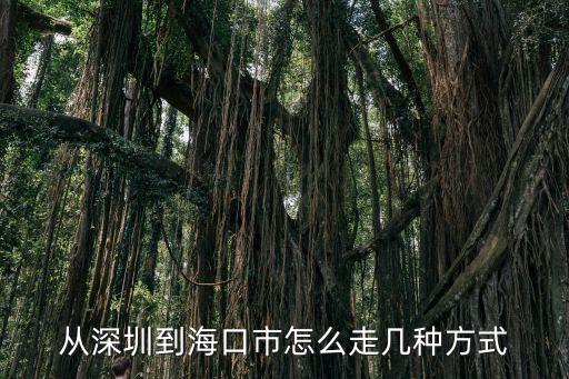 深圳到海口，從深圳到海口市怎么走幾種方式