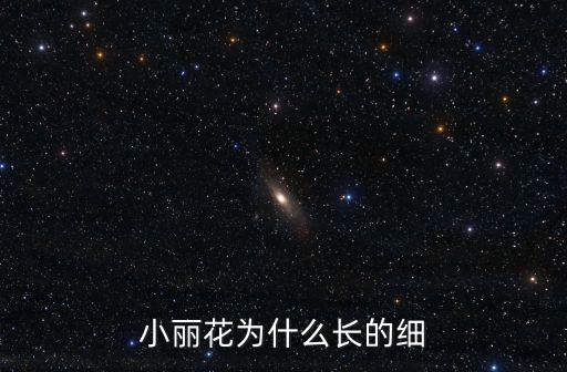 小麗花為什么長的細