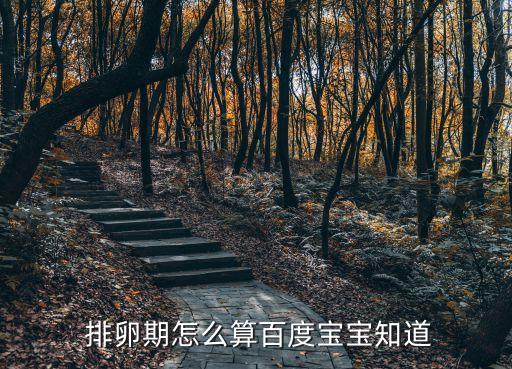  排卵期怎么算百度寶寶知道